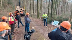 Bois de Schaffhouse, pour Schaffhouse