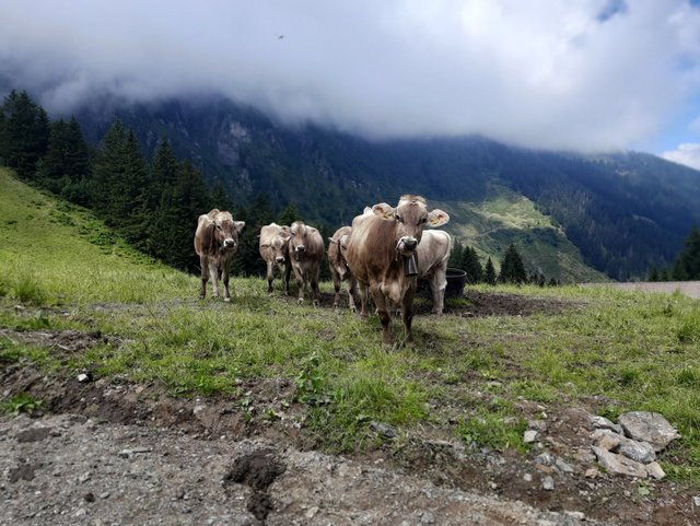 Ausbildung Lehrlingsausflug ERNE Ausbildung Lehrlingsausflug ERNE